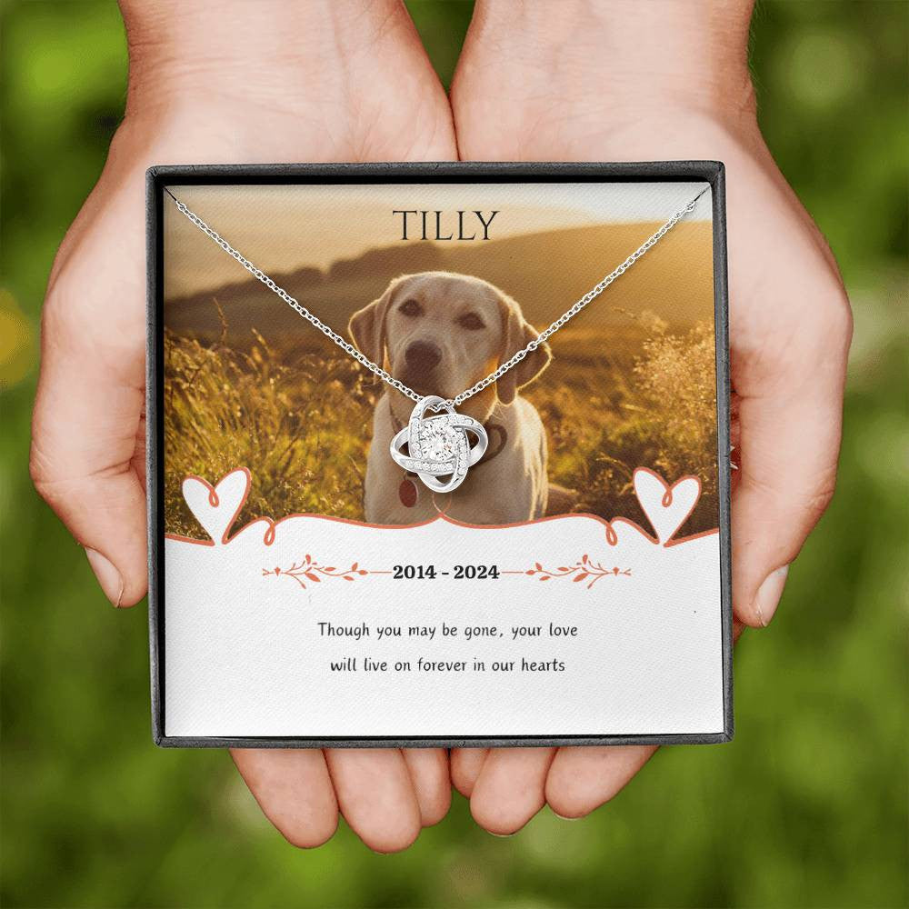 Personalized Luxury Love Knot Necklace Pet Memorial (Yellow & White Gold Variants)