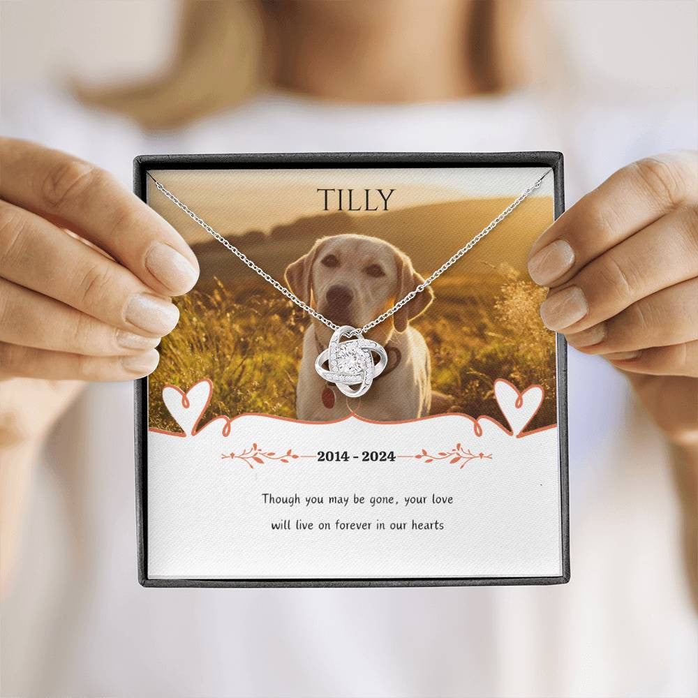 Personalized Luxury Love Knot Necklace Pet Memorial (Yellow & White Gold Variants)