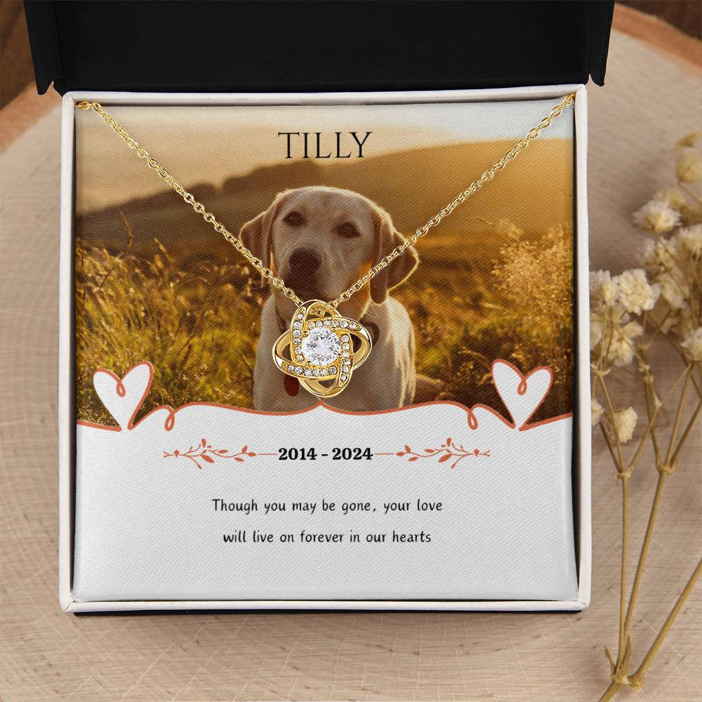 Personalized Luxury Love Knot Necklace Pet Memorial (Yellow & White Gold Variants)