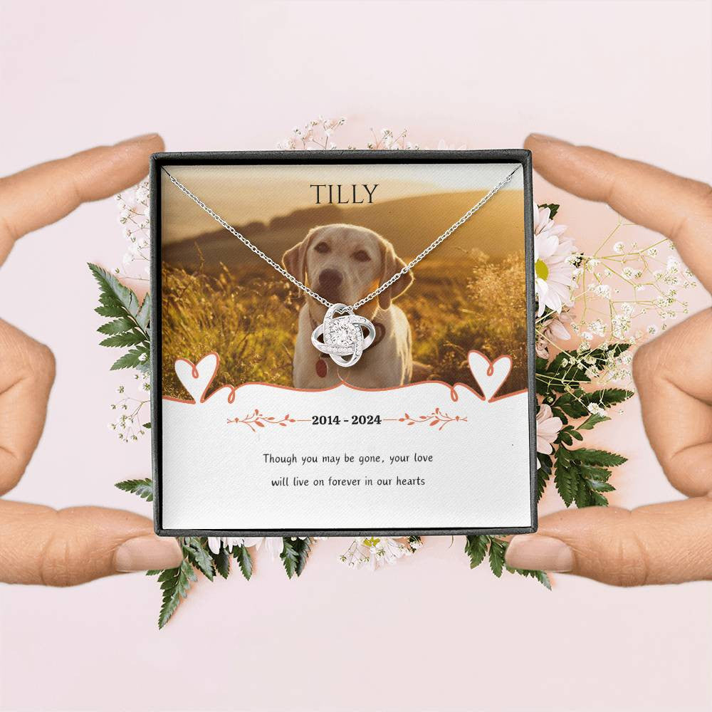 Personalized Luxury Love Knot Necklace Pet Memorial (Yellow & White Gold Variants)