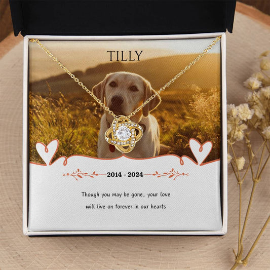 Personalized Luxury Love Knot Necklace Pet Memorial (Yellow & White Gold Variants)